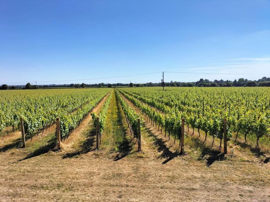 Cosy Cottage With Vineyard View Near Goodwood チチェスター エクステリア 写真